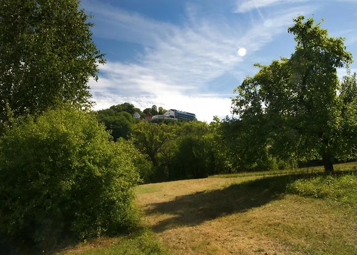 Hotel Berg-gasthof Hoetzelein 3*